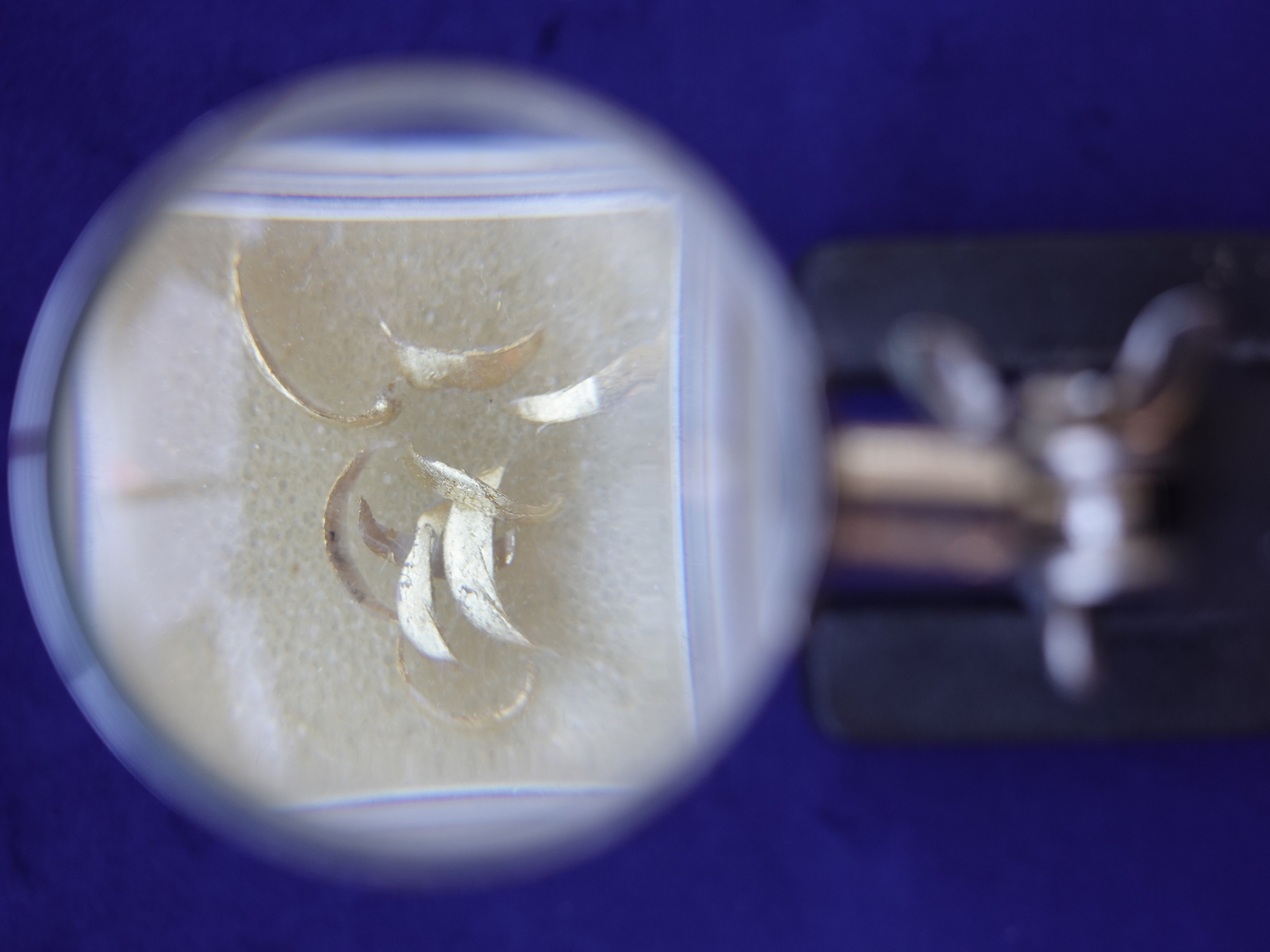 Andrea Golla, DIY Reliquie: Fingernägel / Film 