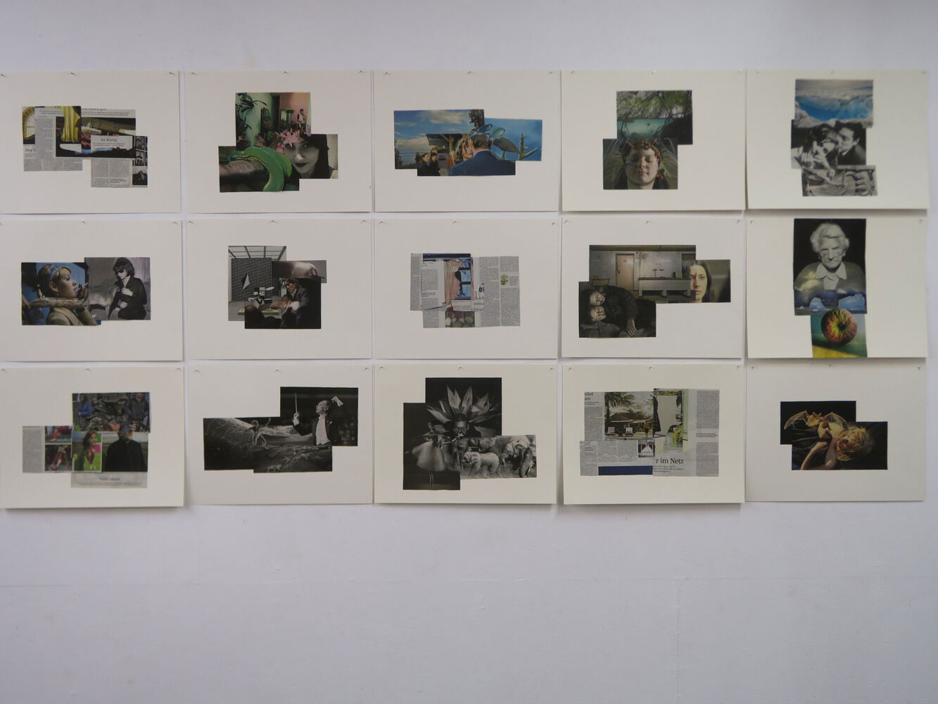 Kathrina Rudolphm Collagen, Detail